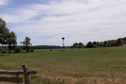 Drentse Bungalow In Natuur En Rust