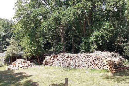 Drentse Bungalow In Natuur En Rust