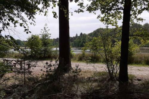 Drentse Bungalow In Natuur En Rust