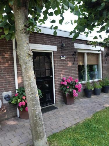 B&B de Vrijheid En de Ruimte In Steenbergen
