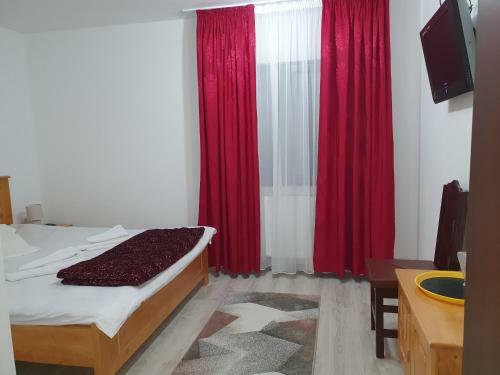 Hostal Pensiunea Ronicson