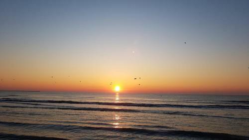 Green Apartment Mamaia Nord