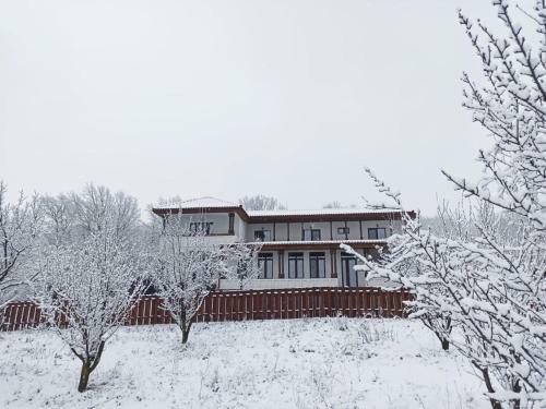 Hostal Pensiunea Emelys