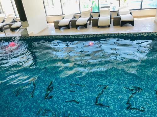 Apartamento North Spa&pools Alezzibeach