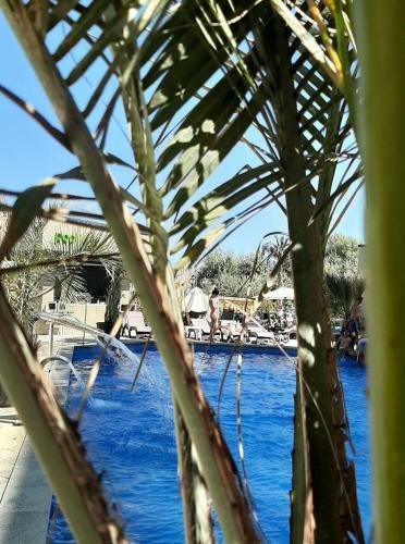 Apartamento North Spa&pools Alezzibeach