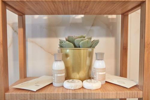 Sofia Seaside Apartamente Mamaia Nord