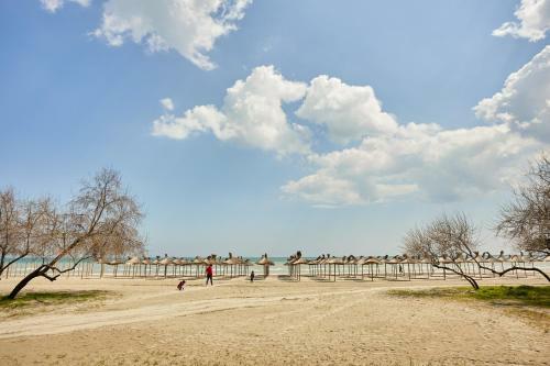 Deko Apartments Alezzi Beach Mamaia