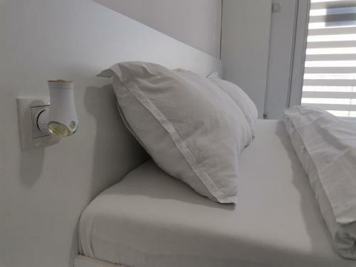 Casuta Cu Tei-lime House