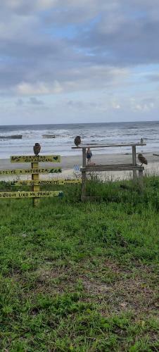 Litoral Itanhaem Suar�o