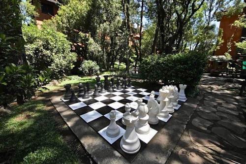 Apartamento Resort Com Natureza No Centro