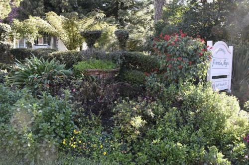 Apartamento Floresta Encantada, O Seu Sonho Em Gramado!