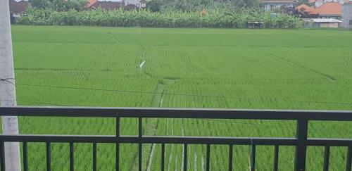 Sun Homestay Canggu