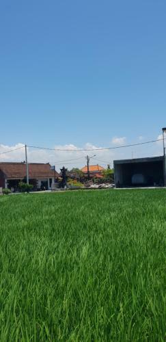 Sun Homestay Canggu