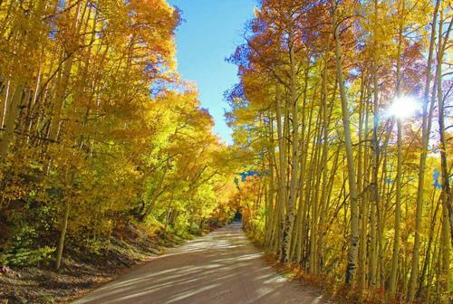 Mountain Thunder 5110 Snowflake Condo Ski In Great Breck Location