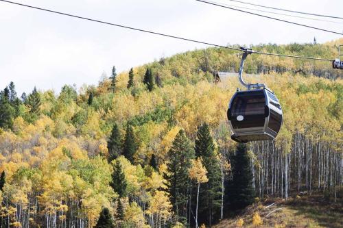 Mountain Thunder 5110 Snowflake Condo Ski In Great Breck Location