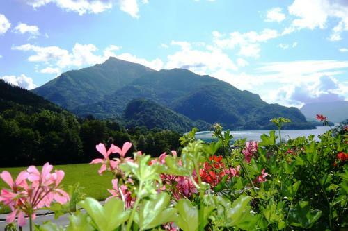 Bed & Breakfast Fr�hst�ckspension Seeblick