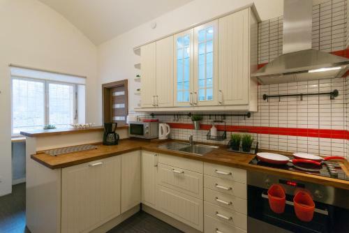 Spacious Apartment Near Wenceslas Square