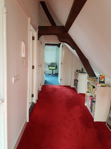 Large Historical Apartment & Canal Terrace