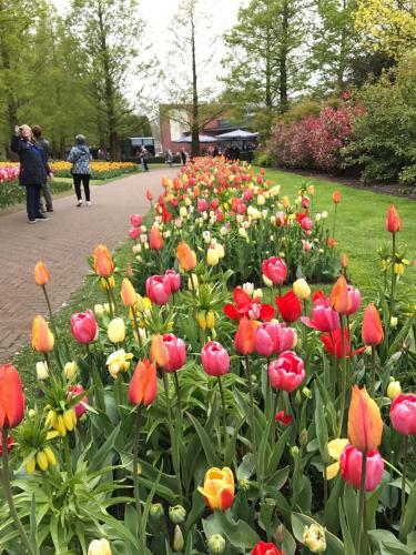 Camping De Hof Van Eeden