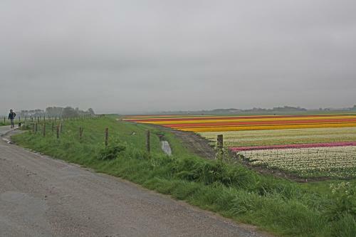 Hotelhuisje Warmenhuizen #f