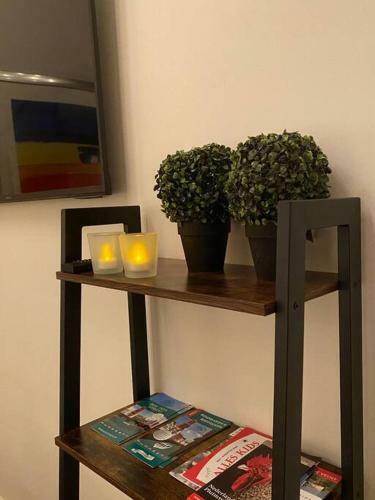 Apartamento Duinhoek: Luxe Studio, Prachtig En Rustig Gelegen