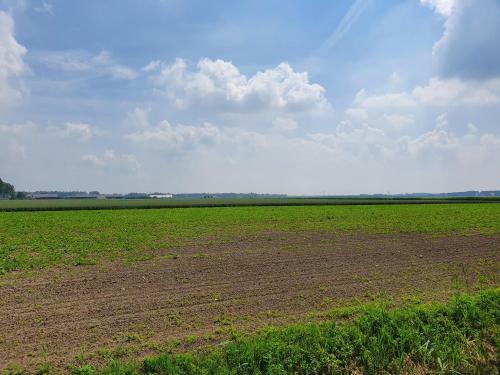 De Hoeksche Loods B&B