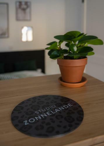 Apartamento Zonnelande - Comfort Studio