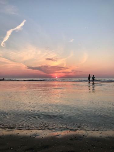 Hostal Hippocampus Aan Zee
