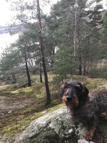 Holiday Home Albystrand 9