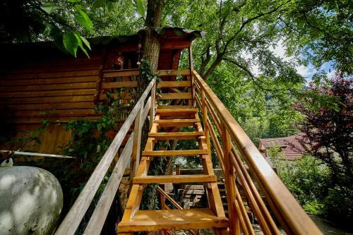 Villa Relax In Transylvania At Ramet Mansion - Alba