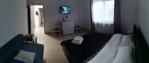 Cazare Apartament Rasnov