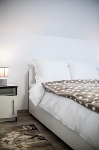 Bed & Breakfast Pensiunea Dan-ge-la