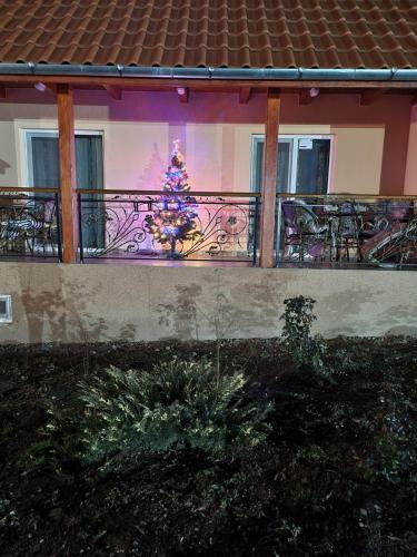 Bed & Breakfast Pensiunea Dan-ge-la