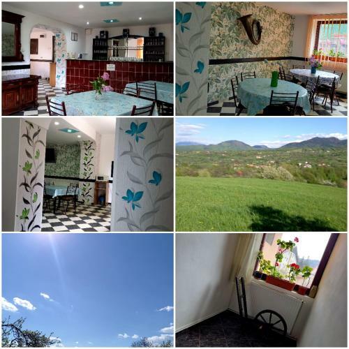 Hostal Pensiunea Ialomicioara