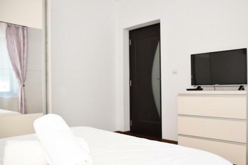 Transylvania Apartment 6