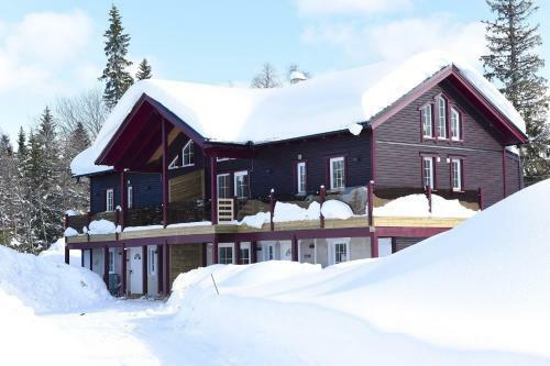 Nice Holiday Apartment In With Sauna