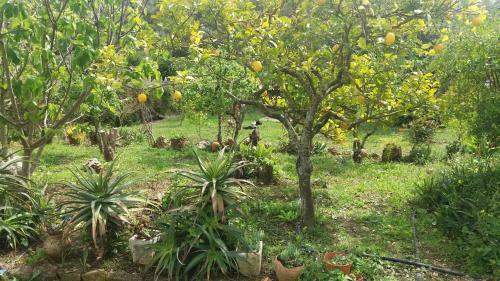 Apartamento Traquility At Villa Fonte Coberta