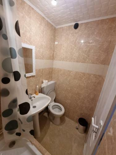 Hostal Pensiunea Amalia
