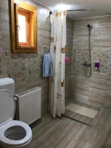 Lodge Pensiunea Valea Tonii