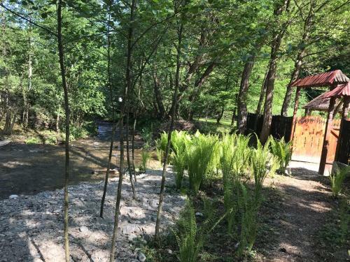 Lodge Pensiunea Valea Tonii