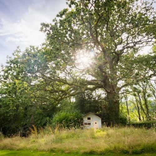 Brecon Beacons Old Vicarage, Stunning Garden & Views