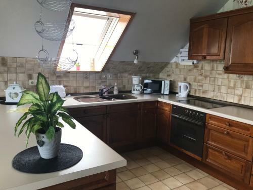 Apartamento Ferienwohnung Pamme
