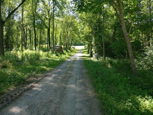 Le Dom?aisne � Zabeth, Lieu Simple Et Paisible ***
