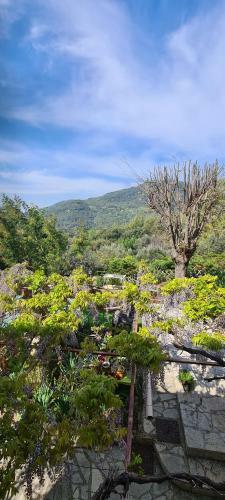 Apartamento Studio de Charme + Terrasse : Verdon, Lac, Plages