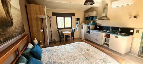 Apartamento Studio de Charme + Terrasse : Verdon, Lac, Plages