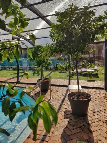 Bed & Breakfast Orangerie de Chatel-selection Figaro & Elle Magazine