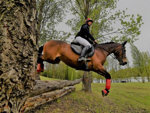 Agr�able Ferme R�nov� Le Gray