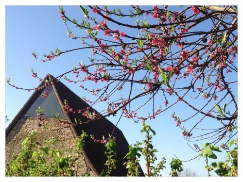 Bed & Breakfast A L'ombre Du Tilleul