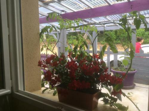 Apartamento H�bergement � Compreignac 87140