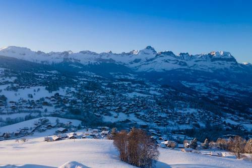 Immobilier de Montagne - La Collection - La Princesse